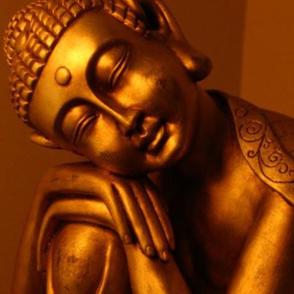 Meet your Posher, Sires budget friendly